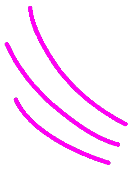 Circuito Donne Imprenditrici
