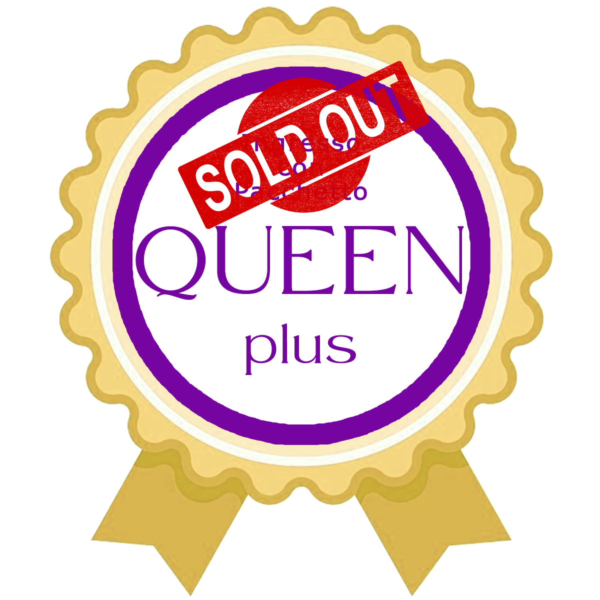 SOLD_OUT_Donne_Imprenditrici_Ticket_QUEEN_Plus_2025 copia